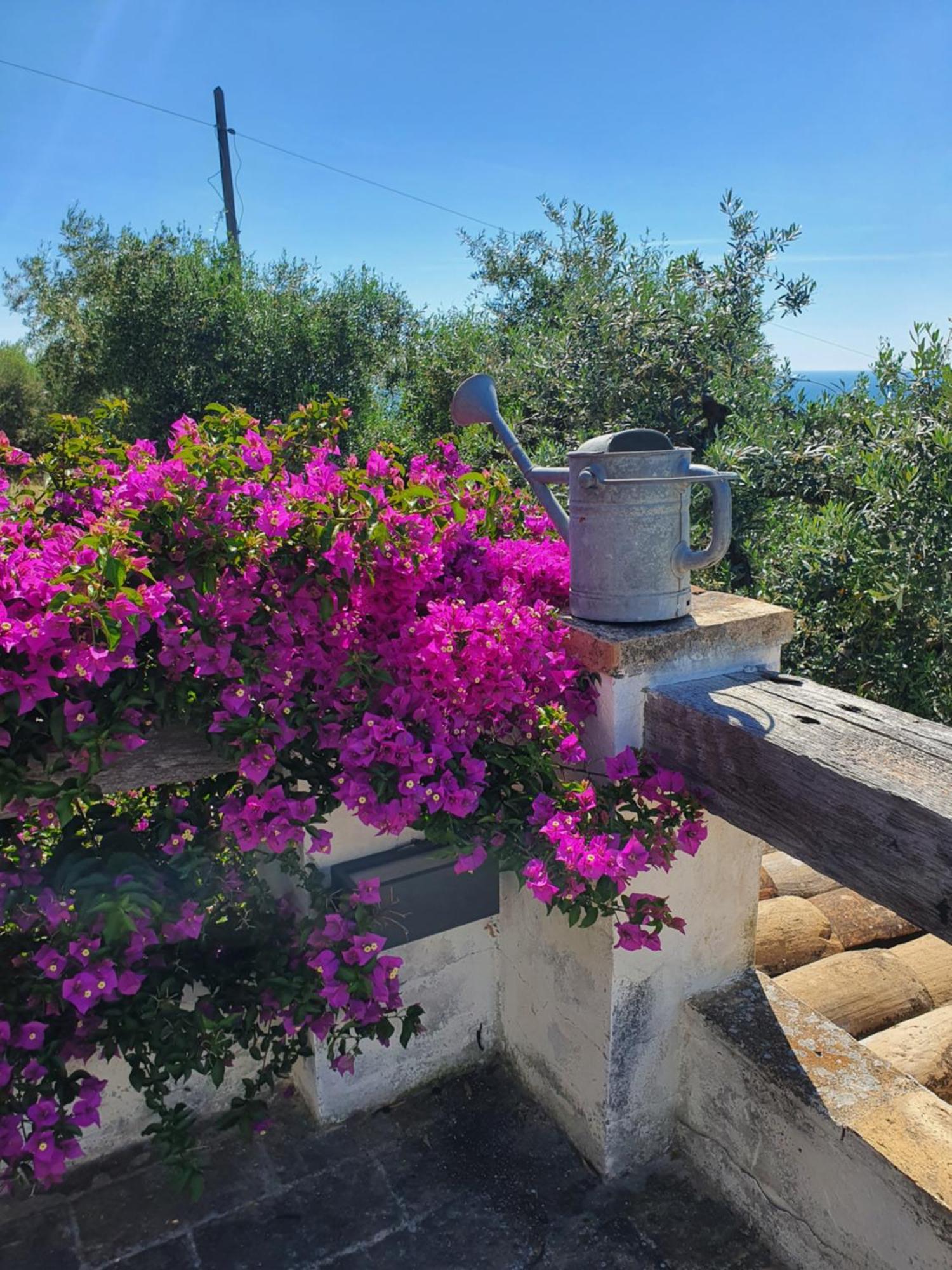 Agriturismo Mondomini Campofilone Luaran gambar