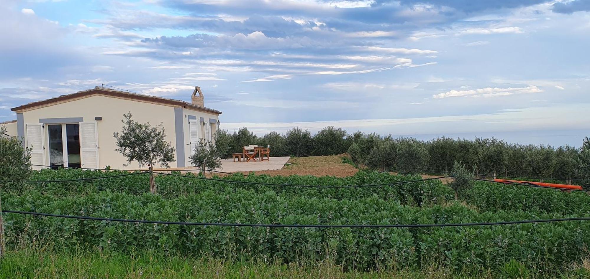 Agriturismo Mondomini Campofilone Luaran gambar